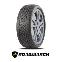 195/65R15 95T ROADMARCH WINTERXPRO 888 DOT 2521